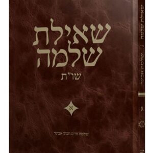 שו"ת שאילת שלמה חלק א