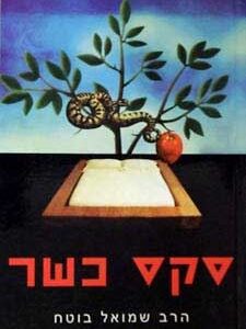 סקס כשר