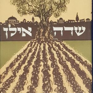 שדה אילן