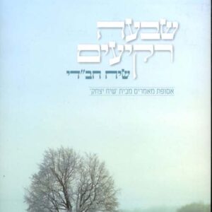 שבעה רקיעים ישראל - אורי מייטליס