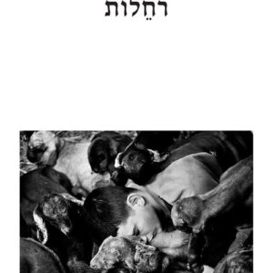 רחלות - סוזן אפטרמן