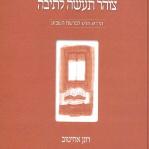 צוהר תעשה לתיבה - רונן אחיטוב