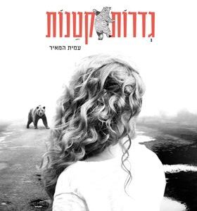 גדרות קטנות - עמית המאיר