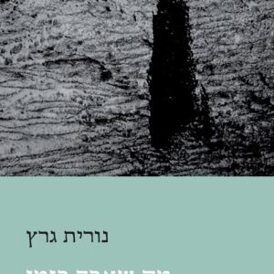 מה שאבד בזמן - נורית גרץ