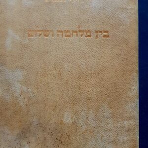 בין מלחמה ושלום - יוסף טננבוים