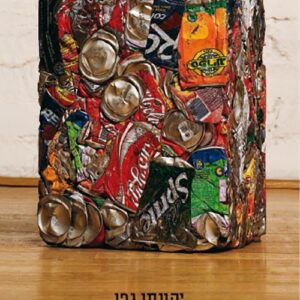 רומן אמריקאי