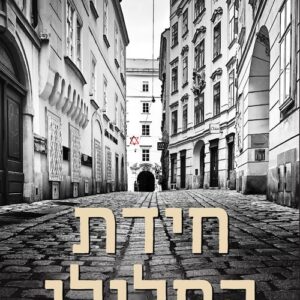 חידת החלילן - אלי רוה