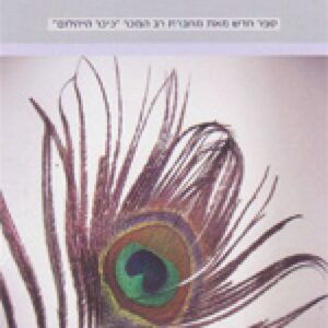 ראי שבור