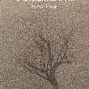 מסע האב אל הממשי - אבנר פיינגלרנט