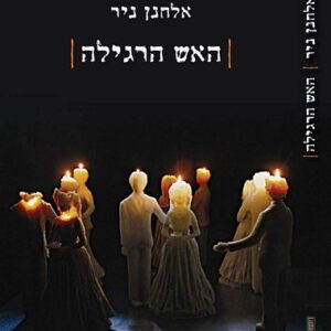 האש הרגילה - אלחנן ניר