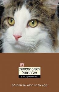 תשע הנשמות של החתול