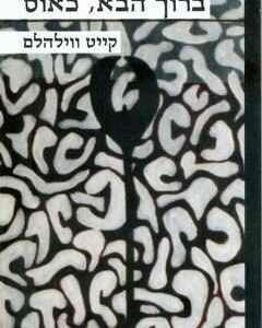 ברוך הבא כאוס - קייט ווילהלם
