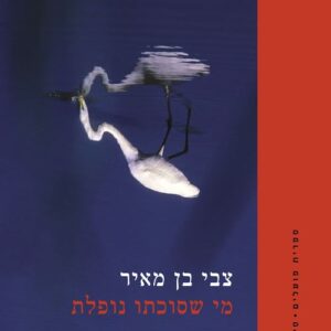 מי שסוכתו נופלת