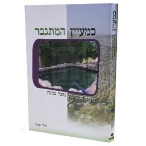 כמעיין המתגבר - יאיר שקדי