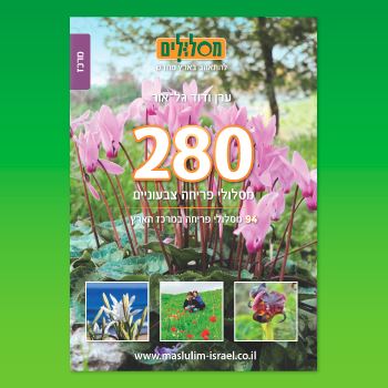 280 מסלולי פריחה צבעוניים - מרכז
