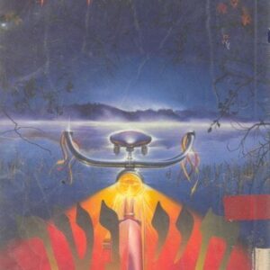 חיי נער  (1993)