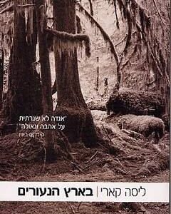 בארץ הנעורים