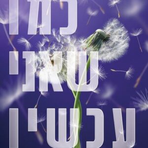 כמו שהייתי פעם 2 - כמו שאני עכשיו