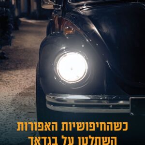 כשהחיפושיות האפורות השתלטו על בגדאד - מונא יחיא
