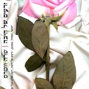 זרעים של חיבה - שרה ווטרס