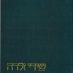 שירי זלדה