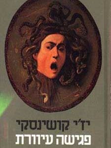 פגישה עיוורת
