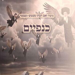 כנפיים