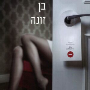 האביר בן זונה - אביב גבע