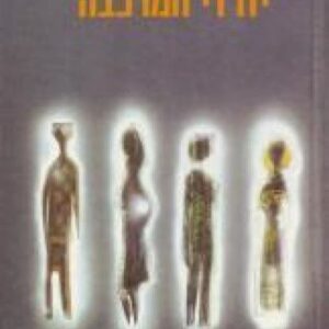 יורדי המרכבה - פטריק וייט  (2 כרכים)
