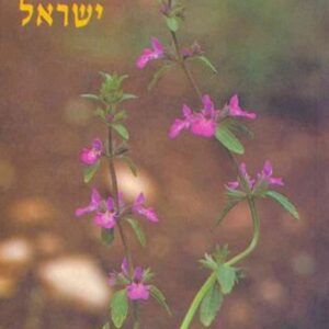 מגדיר חדש לצמחי ישראל