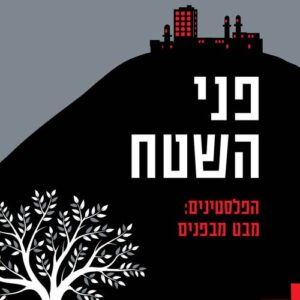 פני השטח