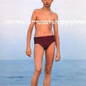 החלקיקים האלמנטריים