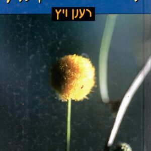 ניחוח השיטה הקוצנית