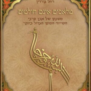 מלאכים אינם חולמים - רחל גורדין