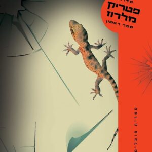 תעשו מקסימום תצליחו - אור סגאוקר