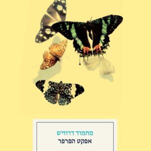 אפקט הפרפר