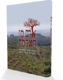 אדם מן האדמה