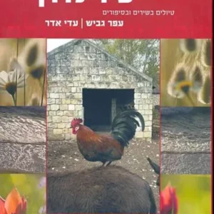 שיר לדרך