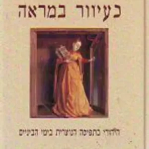 תמונת מוצר - כעיוור במראה